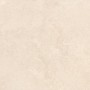 Ashcombe Beige Porcelain Wall & Floor Tile PTV36 600x600mm